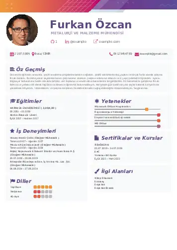 Metalürji Ve Malzeme Mühendisliği Cv Örnekleri cv indir